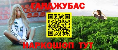 мдпв Жуковский