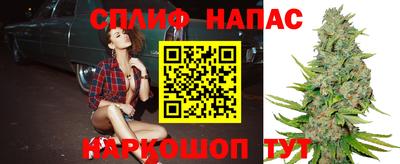 дмт Заводоуковск